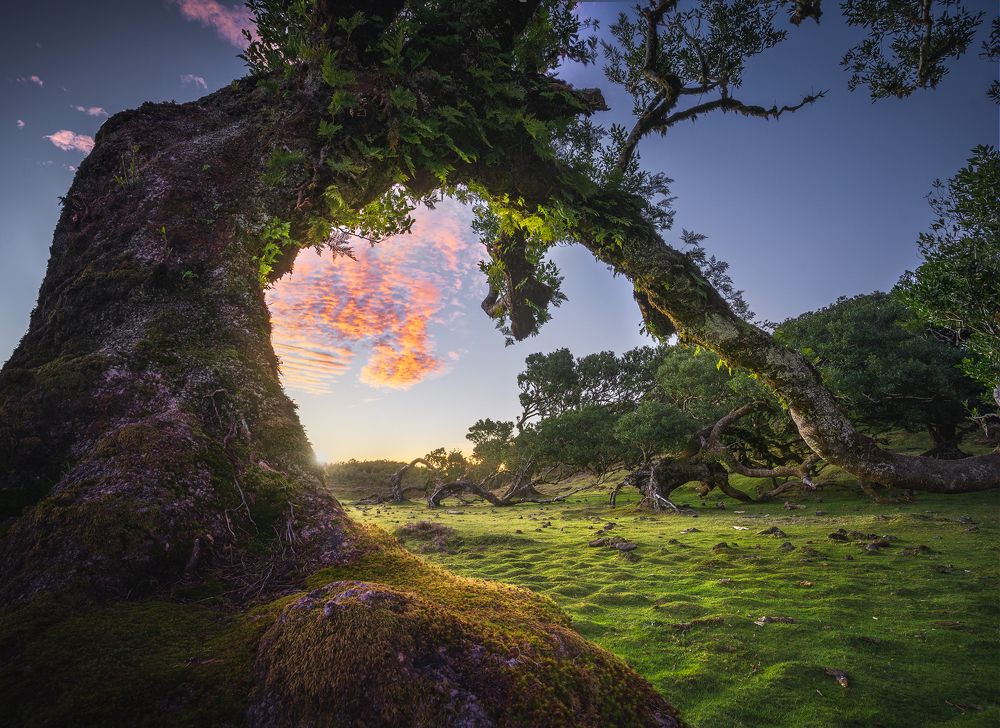 Photograph by Davide Reccanello