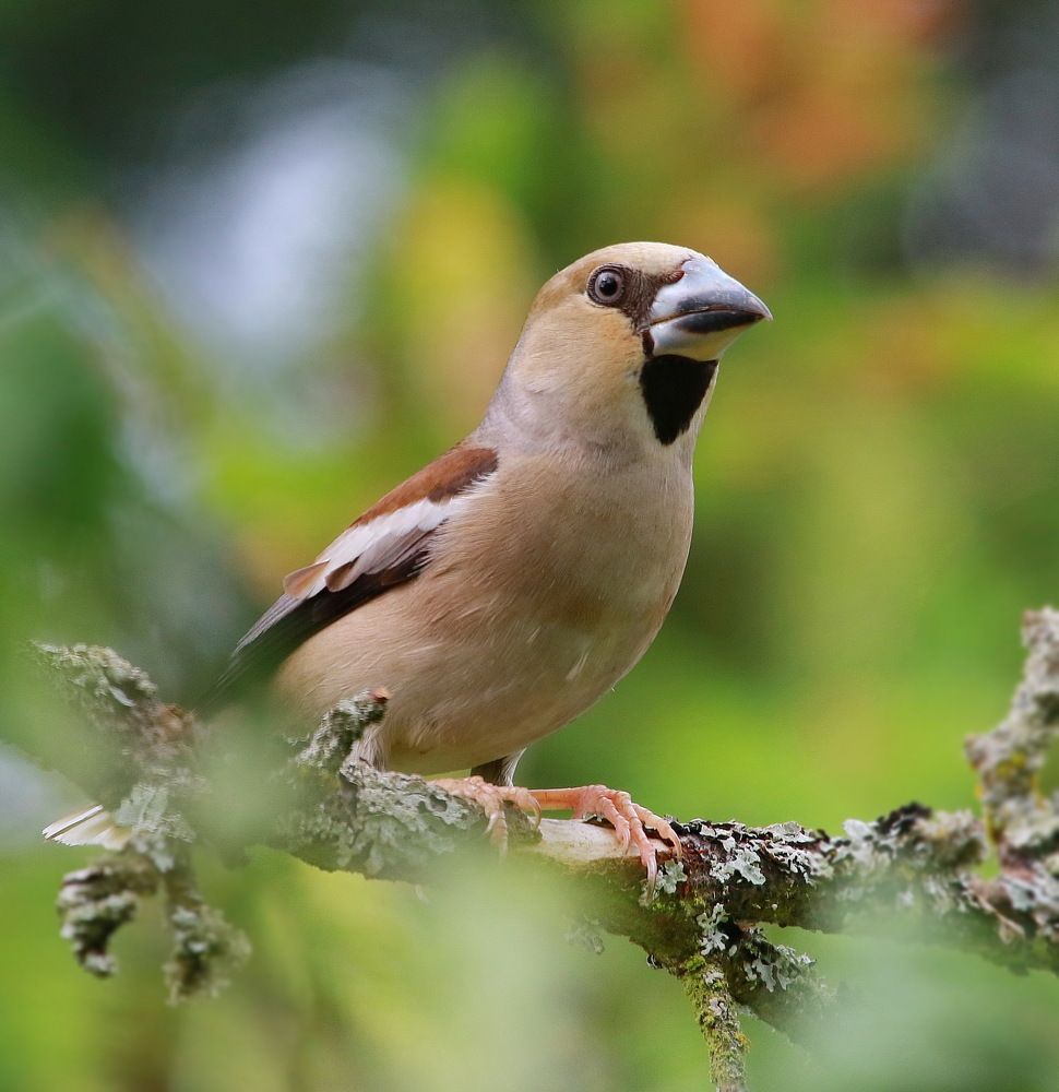 Photograph by Андрей Брагин