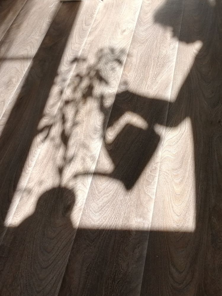 Photograph by Александра Шереметьева