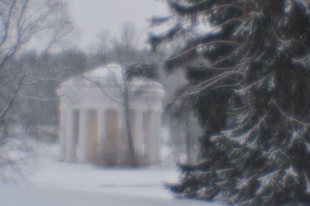 Photograph by Vera Vakhova