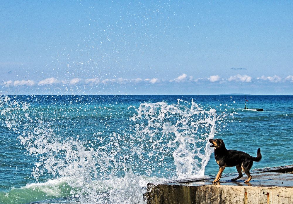 Photograph by Михаил Малец