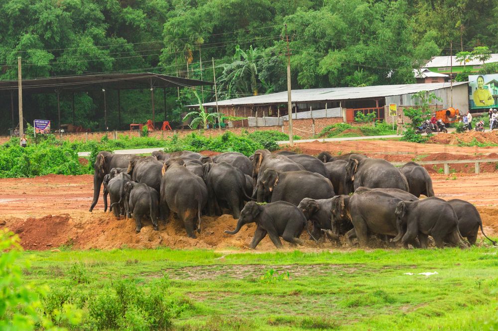 Photograph by Saurav Kumar Boruah