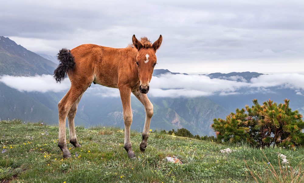 Photograph by Екатерина Волокитина