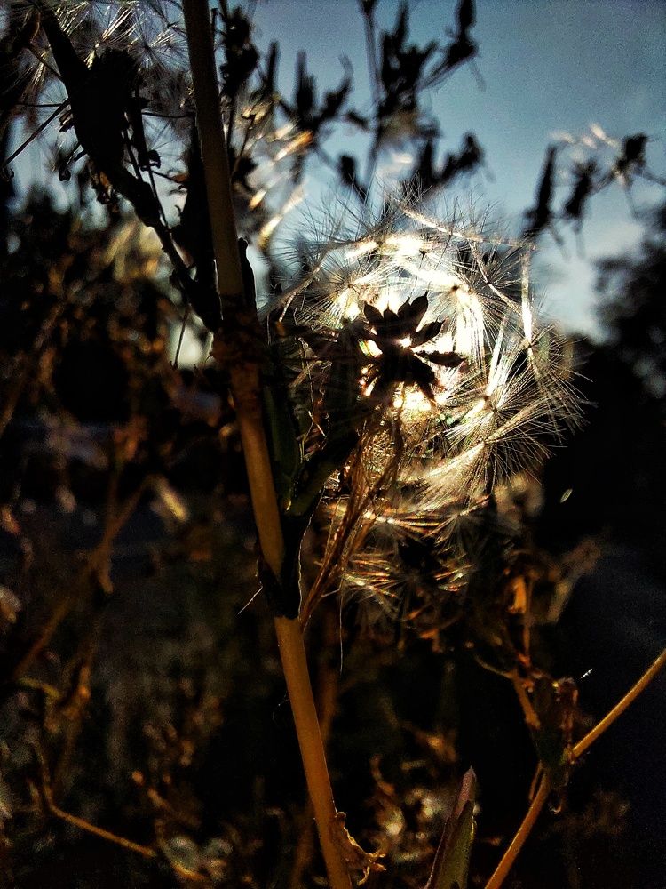 Photograph by Ксения Цветкова