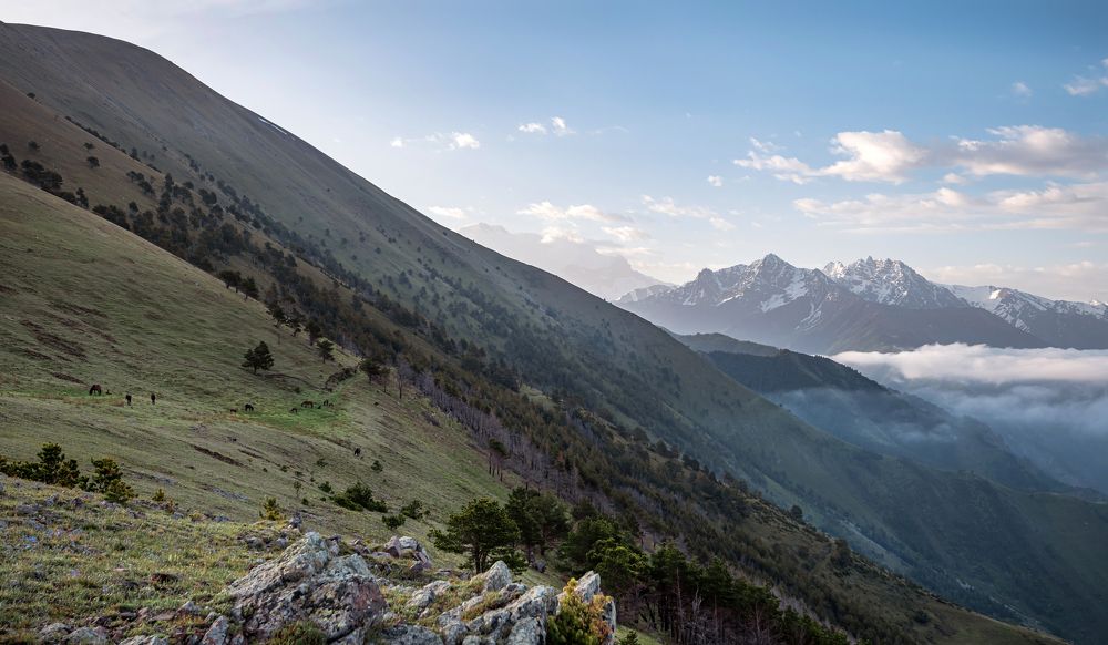 Photograph by Максим Волокитин