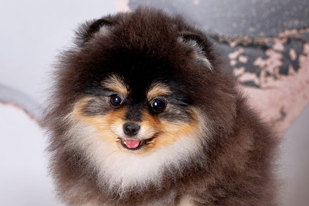 Photograph by Наталья Матюхина