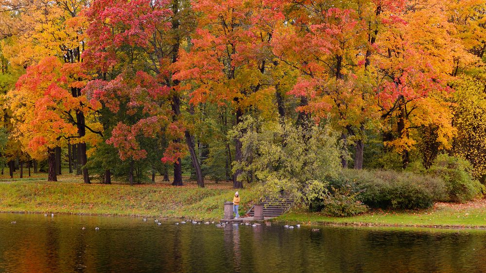 Photograph by Александр Калегин