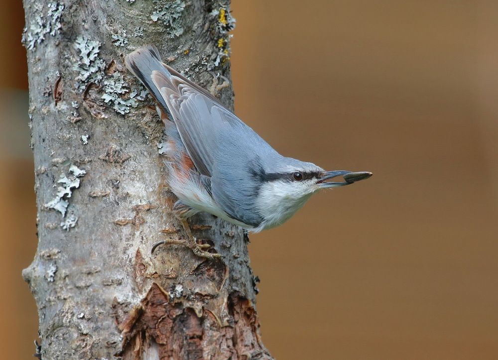 Photograph by Андрей Брагин