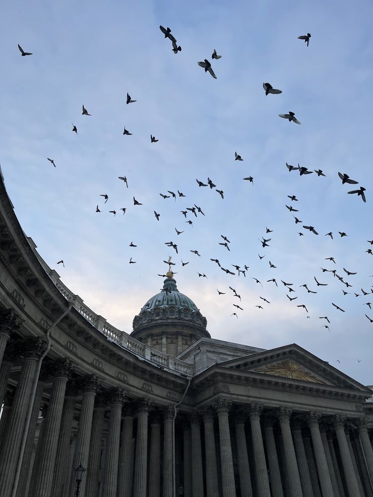 Photograph by Павел Каштанкин