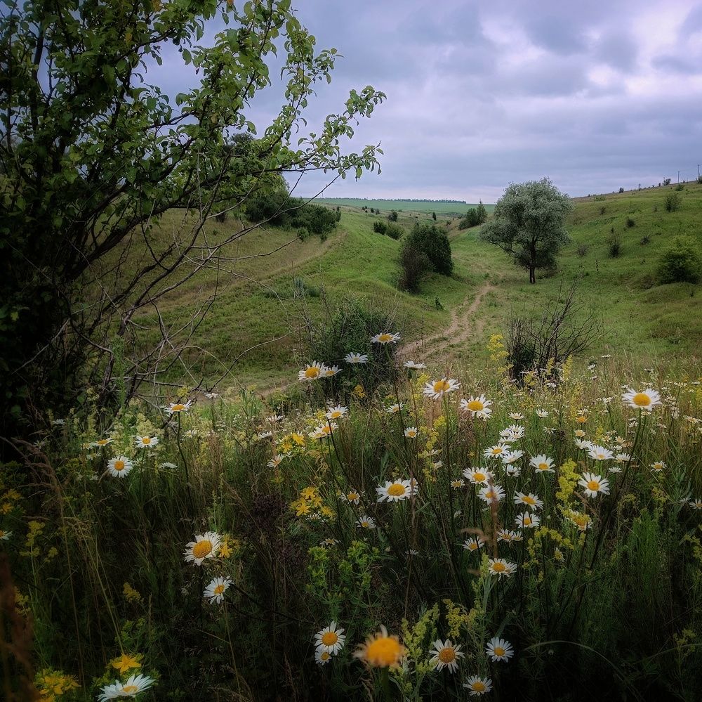 Photograph by Светлана Кондрашова