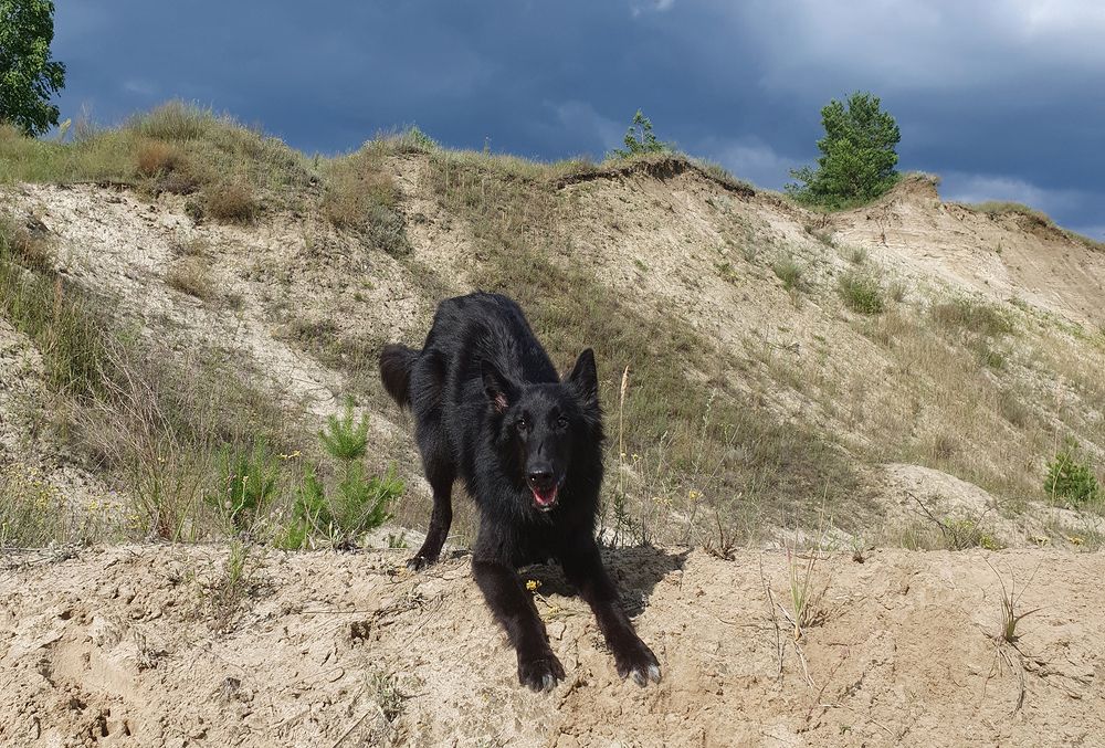 Фотография автора Надежда Лисицына