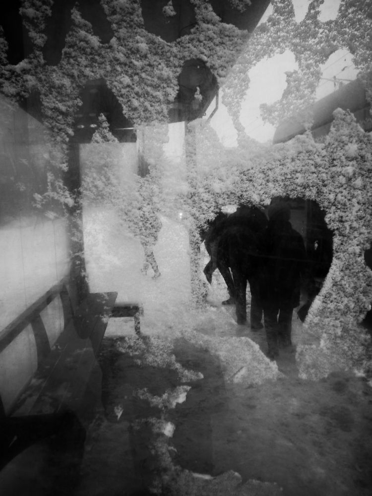 Photograph by Алексей Серпов