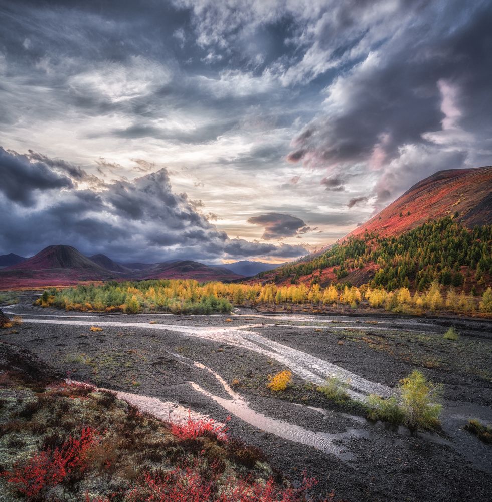 Photograph by Полякова Наталия