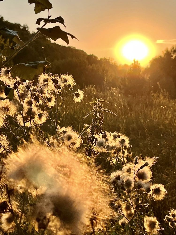 Фотография автора Елена Чиликина