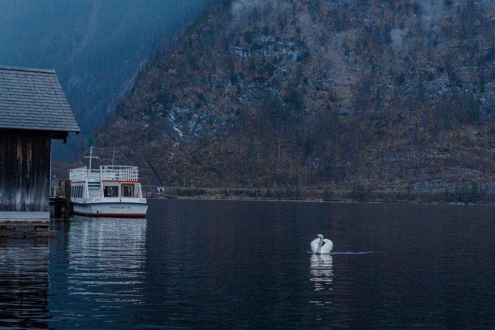 Photograph by shubhra sau