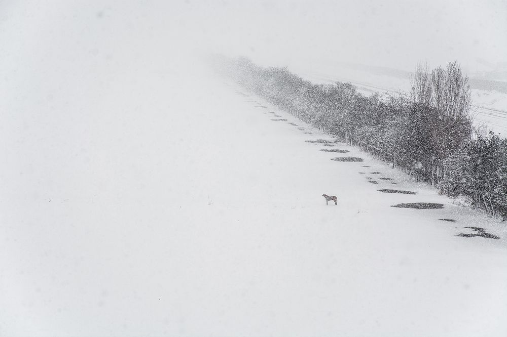 Photograph by Navid Mofidi Ahmadi