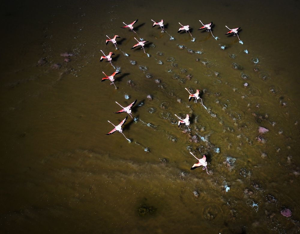 Фотография автора fabio chiari