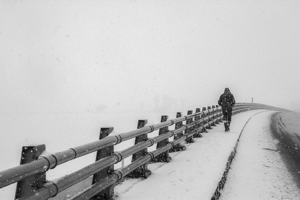 Photograph by Navid Mofidi Ahmadi