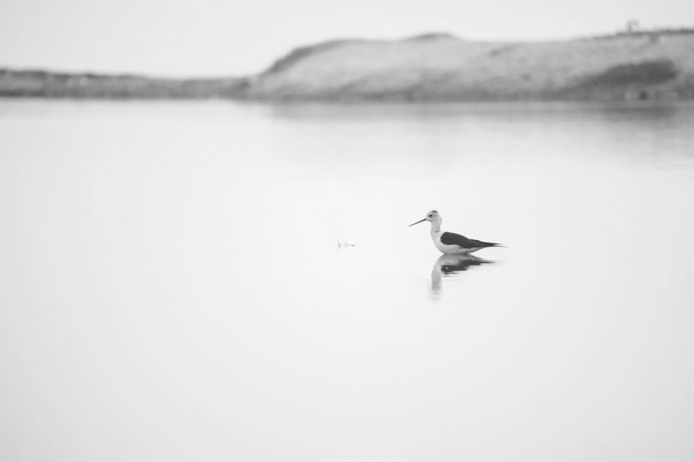 Photograph by Deepak KGK