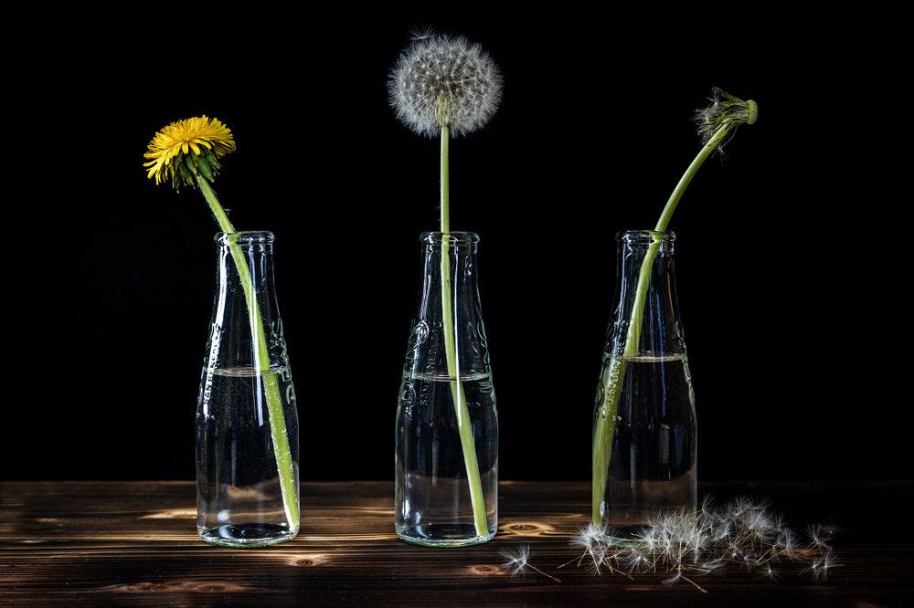 Photograph by Frank Werle