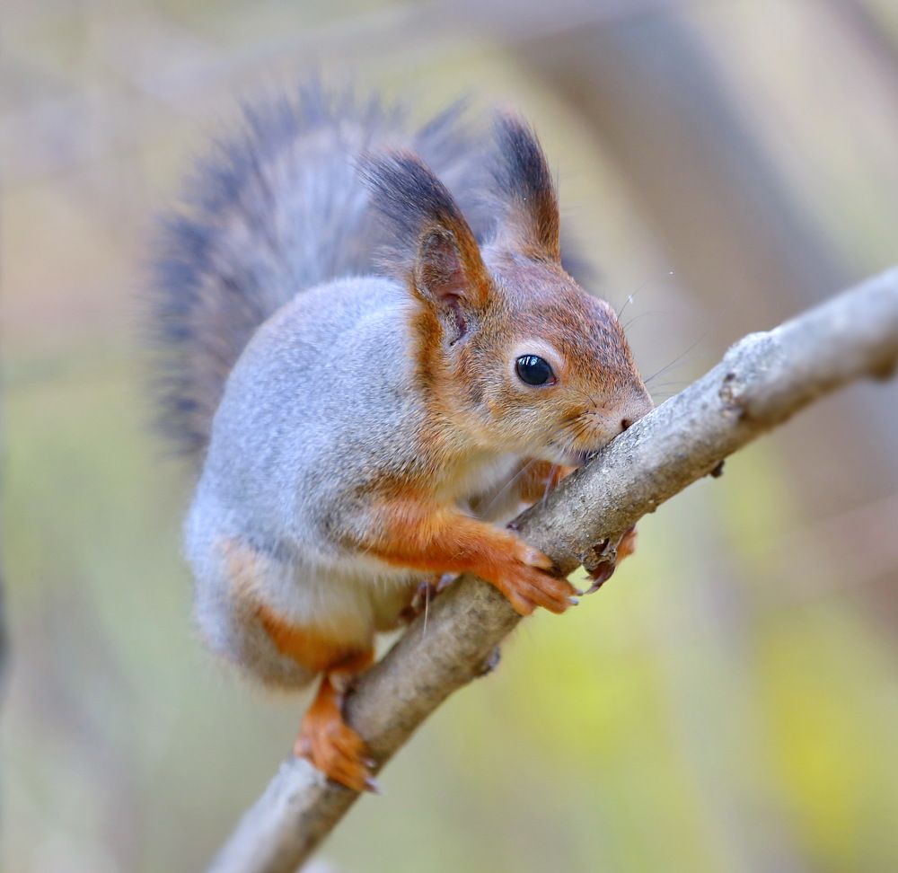 Photograph by Андрей Брагин