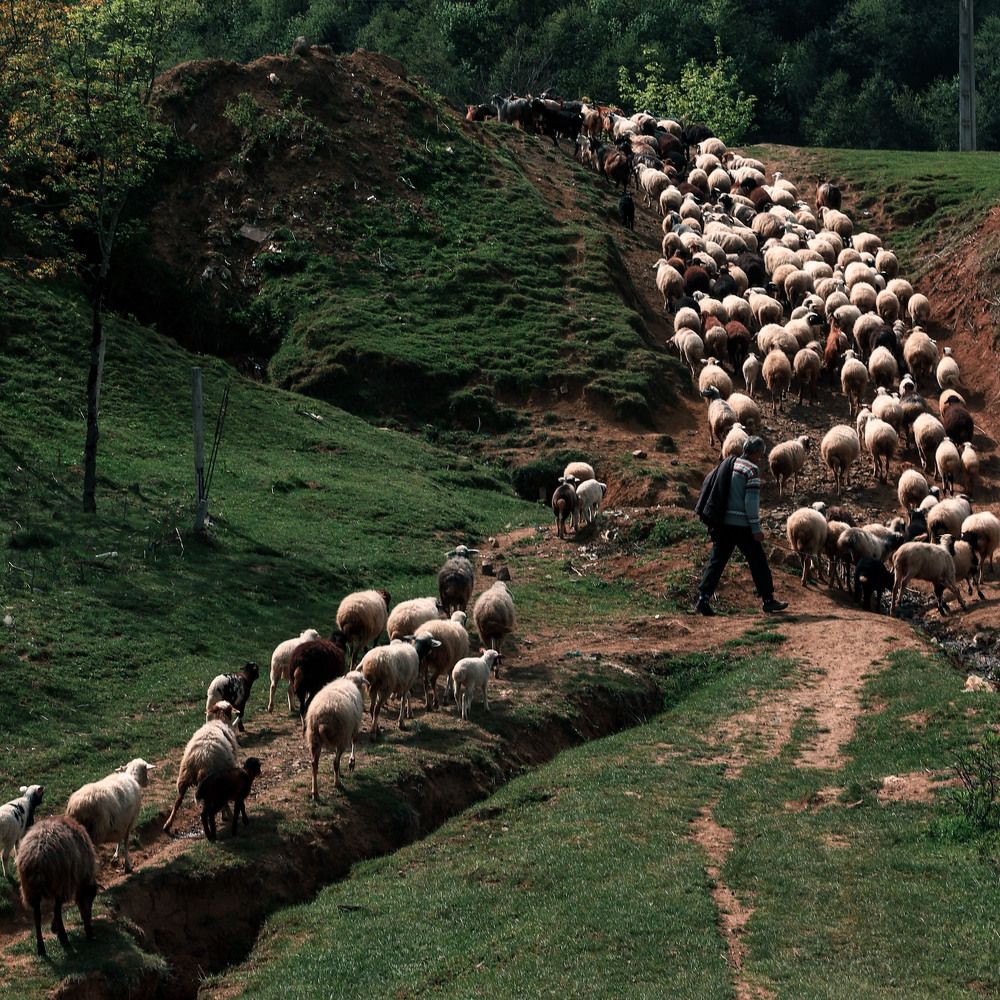 Photograph by mahyar sj