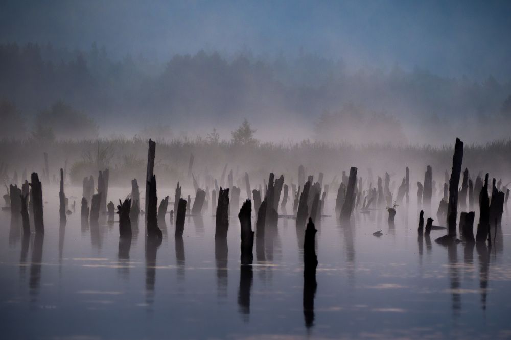 Photograph by Мартюшин Сергей