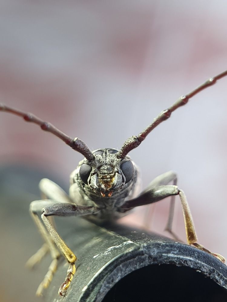 Photograph by Thein Win Tun