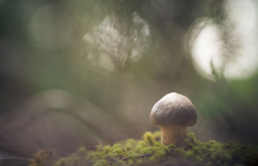 Фотография автора Panagiotis Dalagiorgos