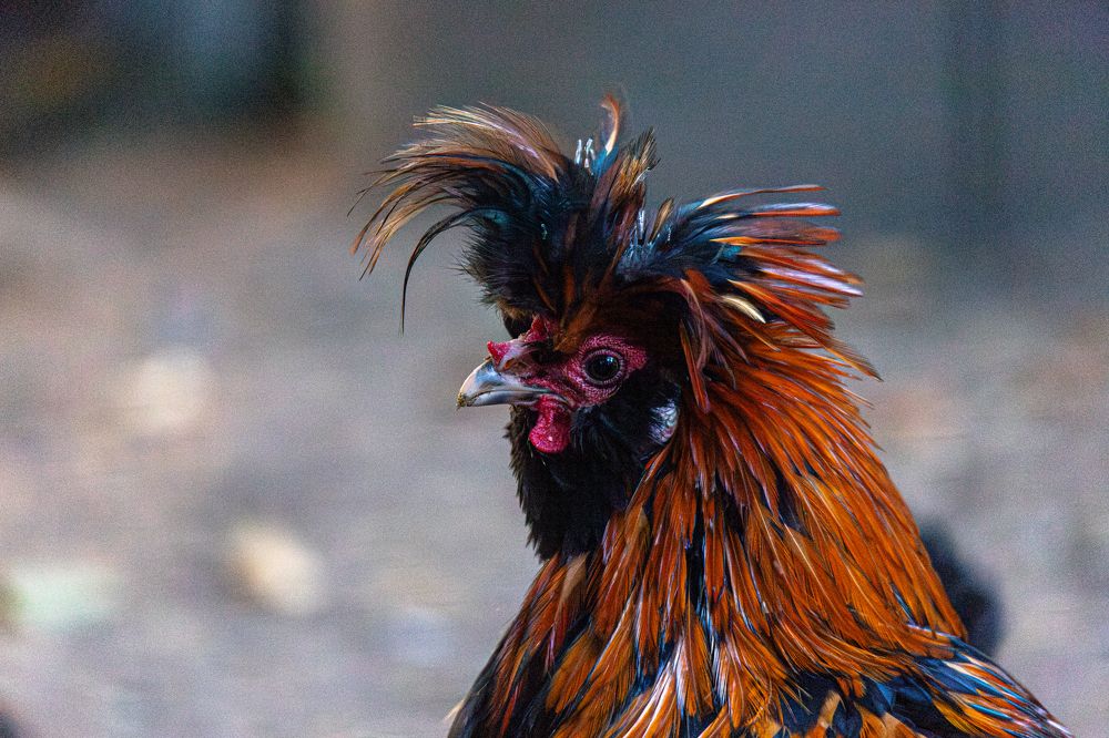 Photograph by Дмитрий Константинов