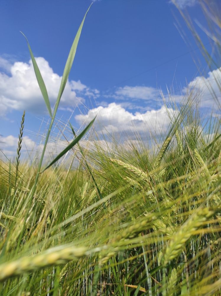 Photograph by Юлия Иванова