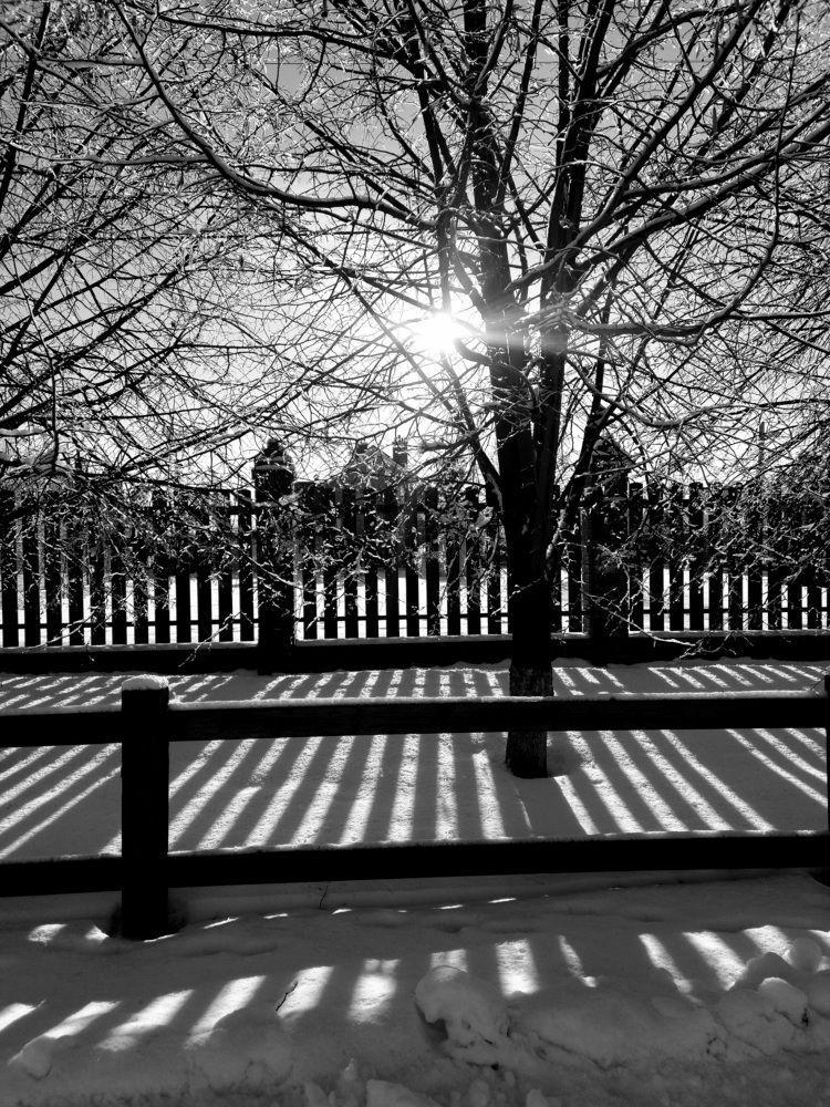 Полосатая зима.