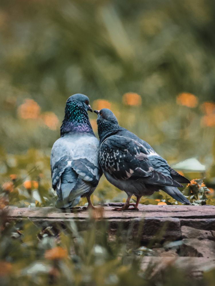 Photograph by Яковлев Юрий