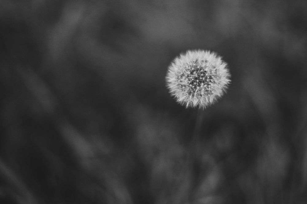 Photograph by Ольга Темкина