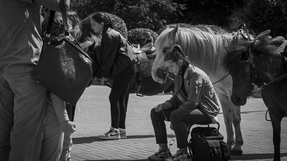 Photograph by Владимир Моисеев