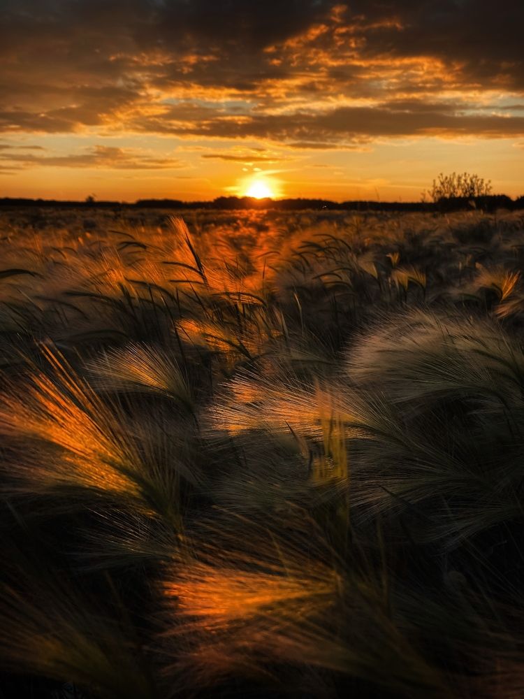 Фотография автора Ольга Артковская
