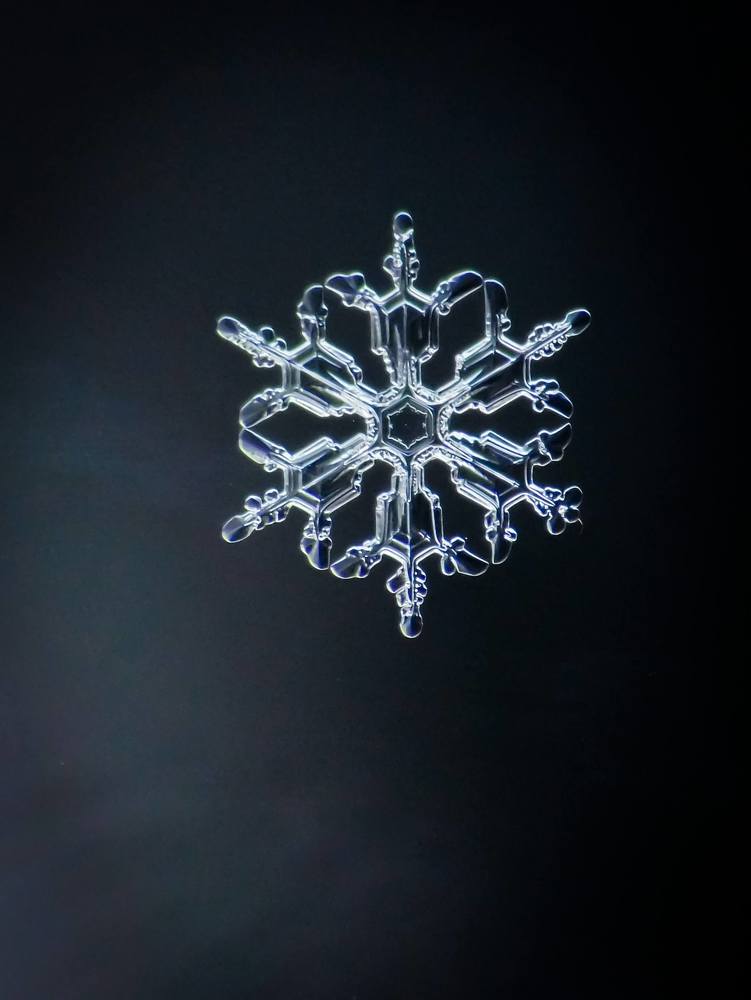 Majestic real snowflake