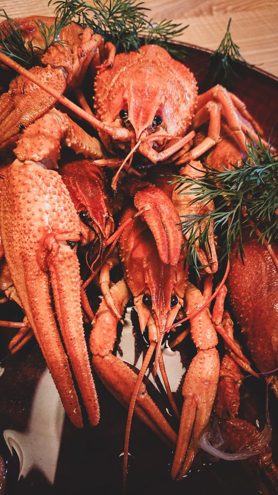 Фотография автора Elena Ku