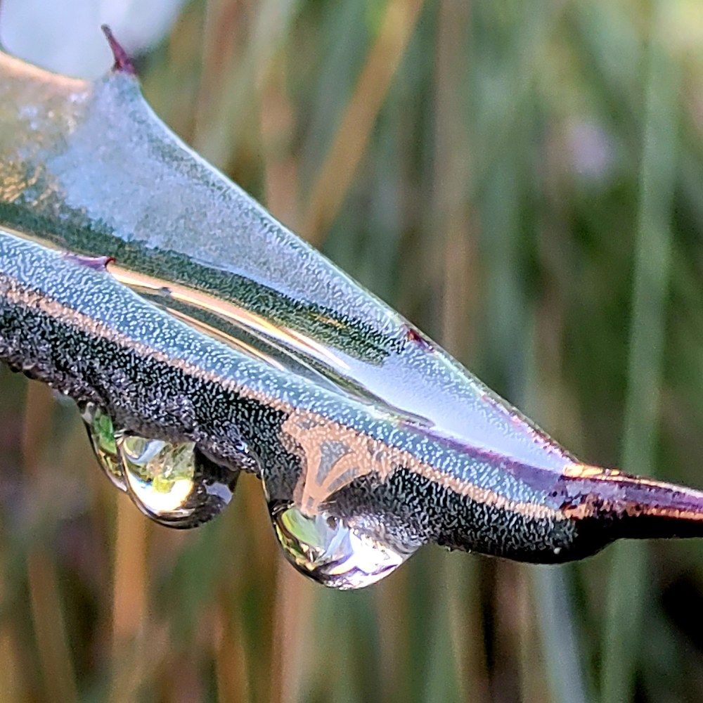 Photograph by Catherine