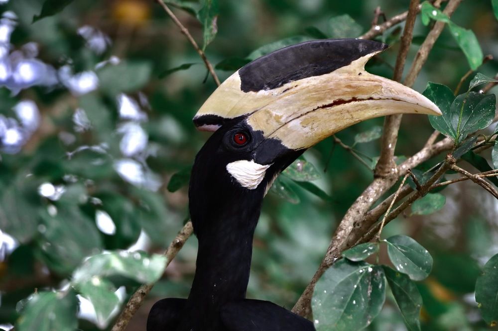 Photograph by Dipanjan Ray