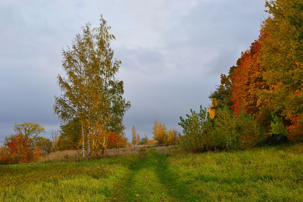 Photograph by Александр Калегин