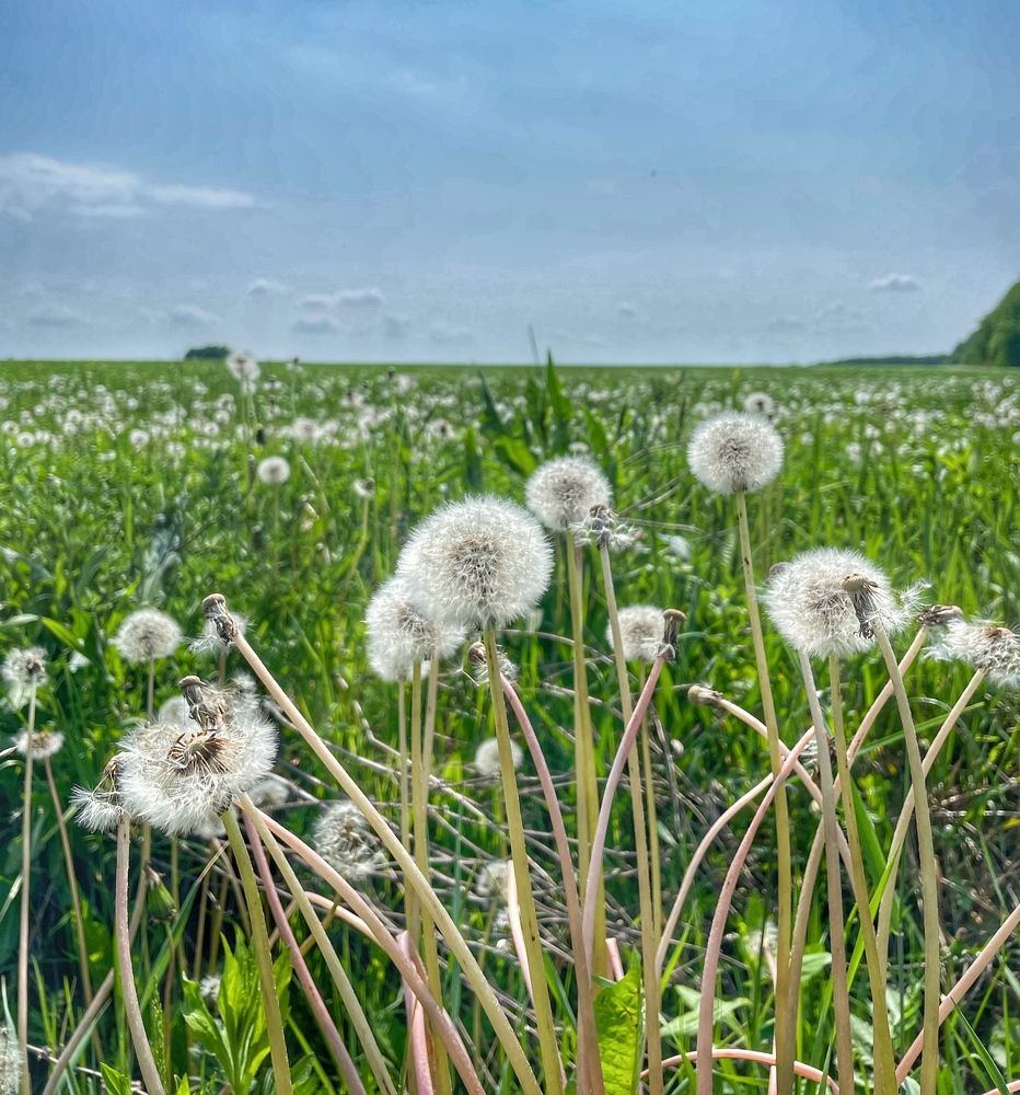 Photograph by Светлана Медведева