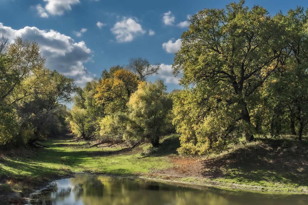 Photograph by Васильев Роман
