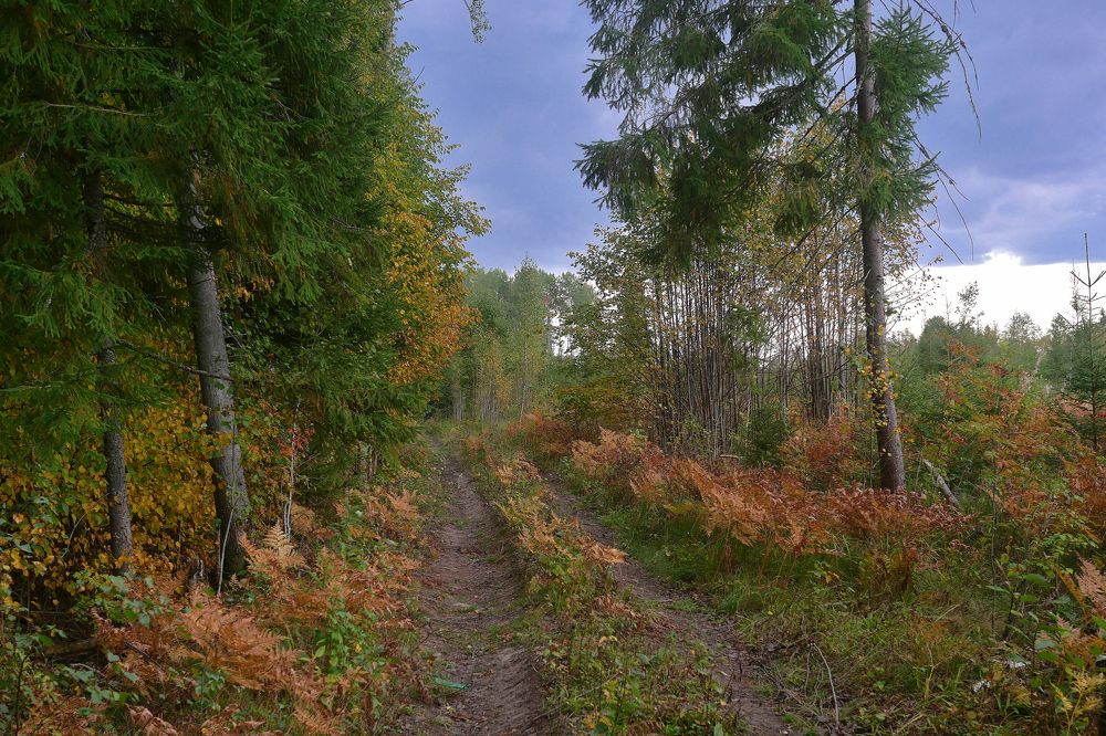 Photograph by Александр Пинаев