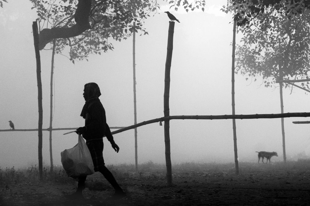 Photograph by saikat chanda