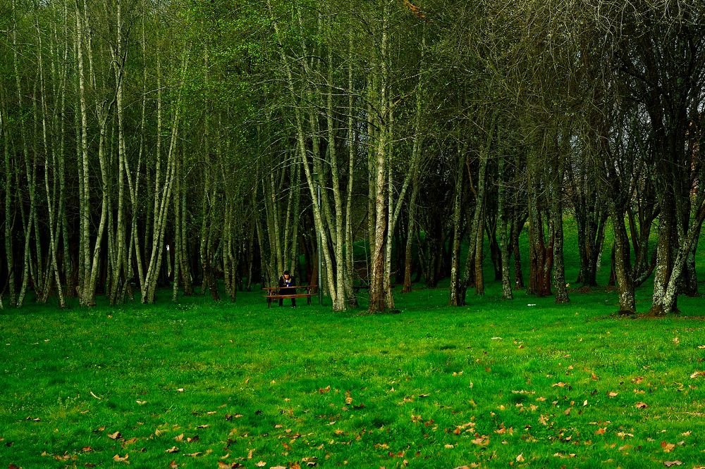 Photograph by Jose Guimaraes