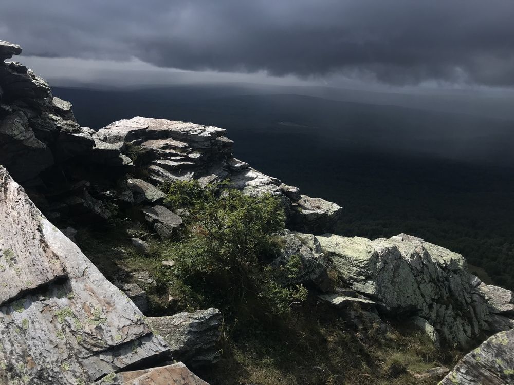 Photograph by Ирина Елсукова