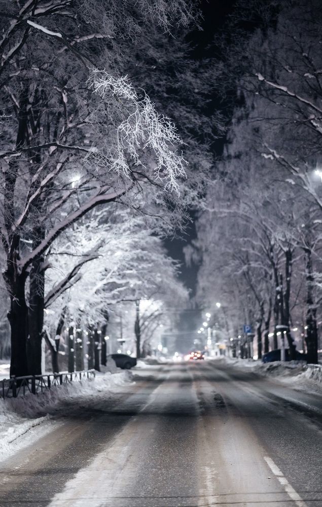 Photograph by Лариса Метелева