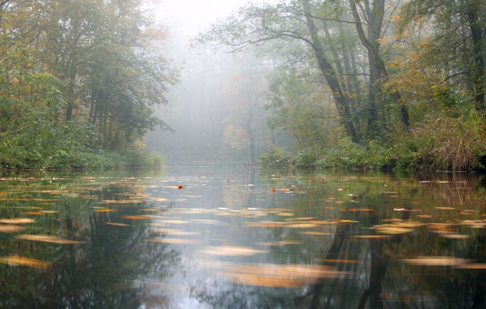 Photograph by Владимир Петрукович