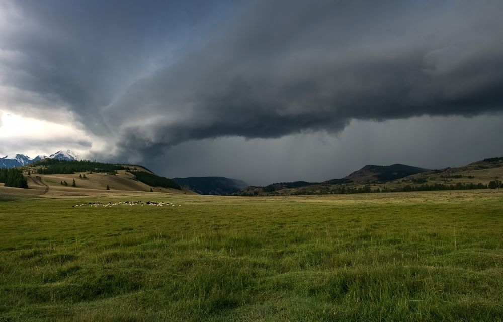 Photograph by Фомина Марина